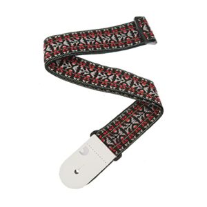 Planet Waves 50G01 Hootenanny 2 Woven Guitar Strap (Multicolor)