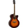 cpx600_old_violin_sunburst-_1_