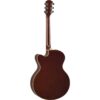 cpx600_old_violin_sunburst-_2_