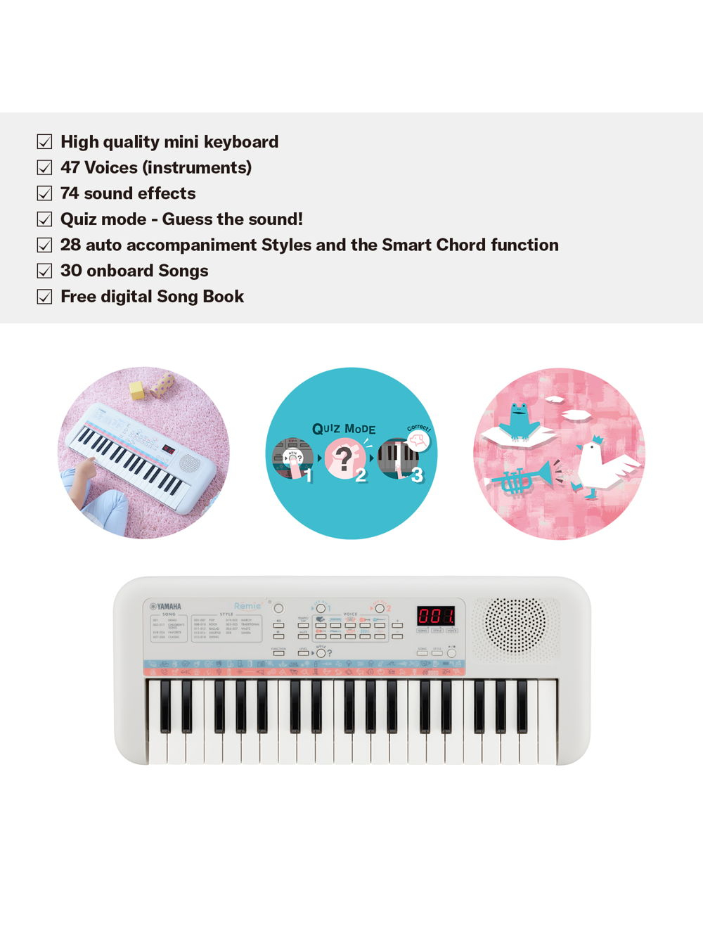 pss-e30-03-keyfeatures