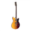 rss_20_sunset_burst_-_022_1