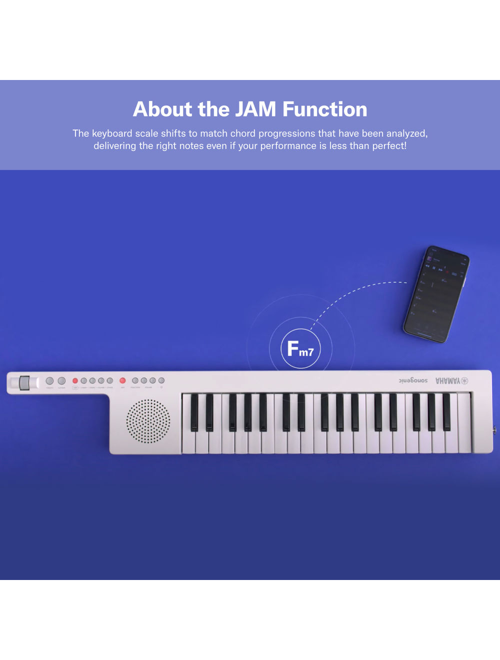 shs-300wh-05-jamfunction